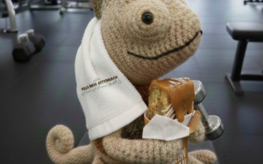 Ende Januar – jetzt zeigt sich, wer wirklich Biss hat!