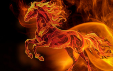 February 17th marks the beginning of the Lunar New Year 2026.